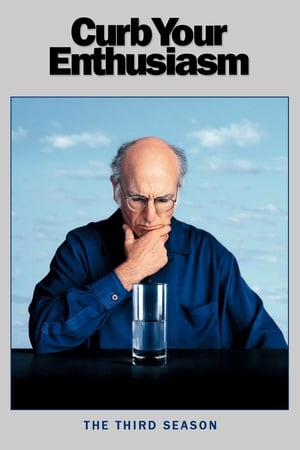 Curb Your Enthusiasm poster