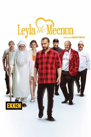 Leyla and Mecnun poster