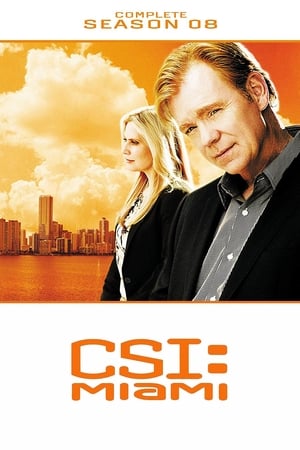 CSI: Miami poster