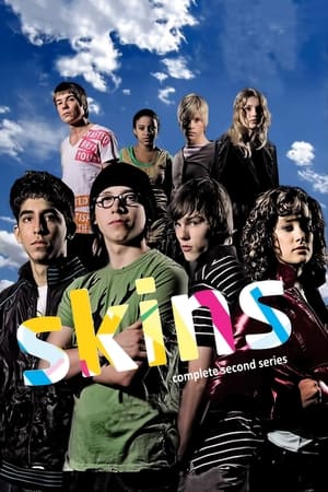 Skins poster