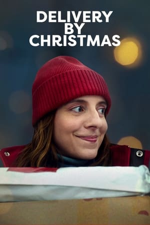 Delivery by Christmas 2022 WEB-DL 1080p Hindi + Multi Audio x264 AAC MSub
