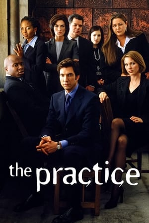 The Practice (TV Series 1997-2004) — The Movie Database (TMDB)