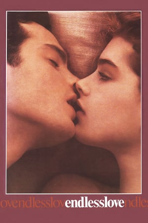 Tình Yêu Bất Tận - Endless Love (1981)