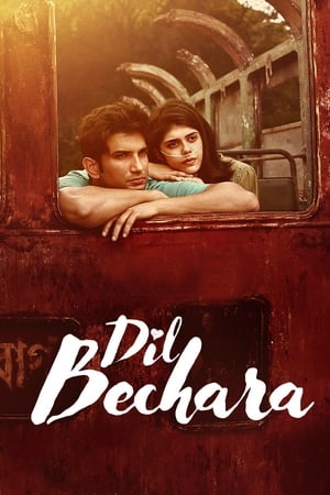 Dil Bechara (2020) Hindi