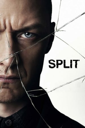 Split (2016) Hindi Dubbed