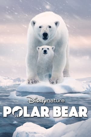 مشاهدة فيلم Polar Bear 2022 مترجم