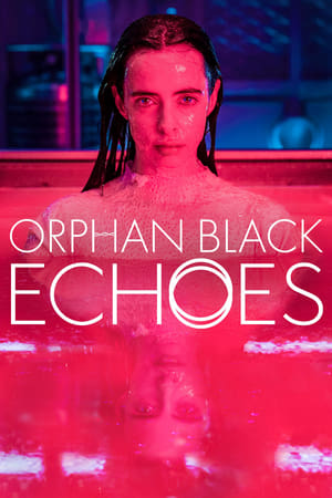 Orphan Black: Echoes Temporada 1 Capitulo 9