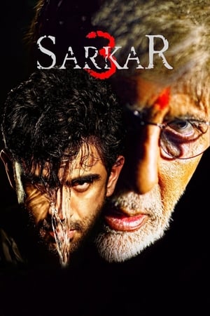 Sarkar 3 (2017) Hindi