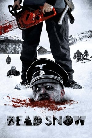 Miręs sniegas (2009)