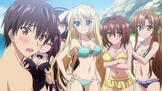  Absolute Duo [Dual Format] [Blu-ray] : Movies & TV