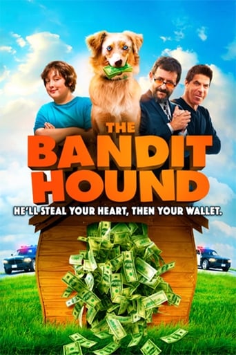The Bandit Hound (2016) download