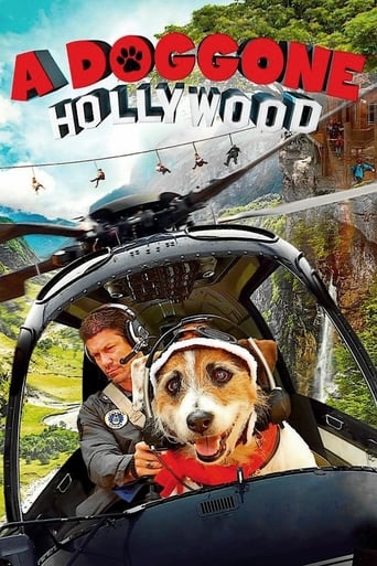 A Doggone Hollywood (2017) download