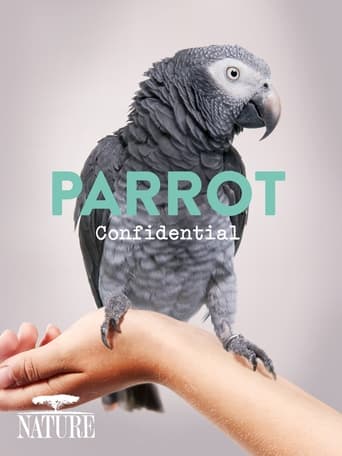Parrot Confidential (2013) download