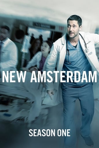 New Amsterdam 1ª Temporada Torrent (2018) Dublado e Legendado HDTV | 720p | 1080p – Download