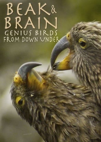 Beak & Brain - Genius Birds from Down Under (2013) download