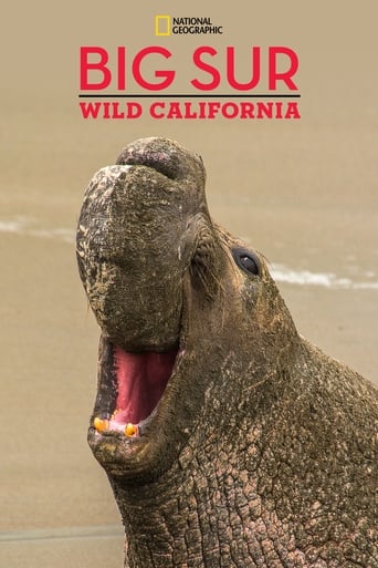 Big Sur-Wild California (2010) download