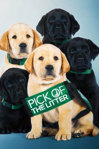 Pick of the Litter (2019) download