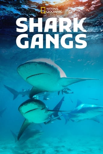 Shark Gangs (2021) download