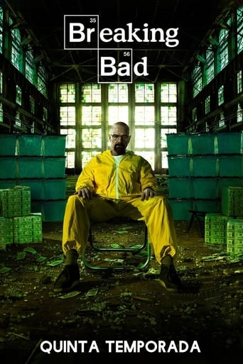 Breaking Bad 5ª Temporada Completa Torrent (2013) Dual Áudio / Dublado BluRay 720p – Download