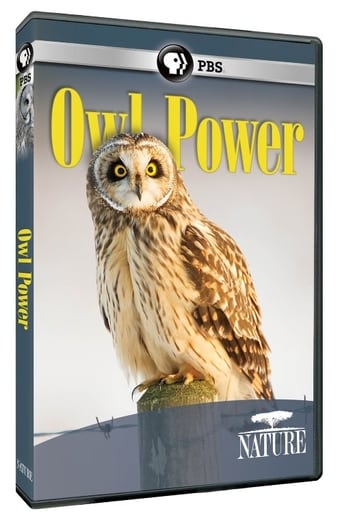 Owl Power (2015) download