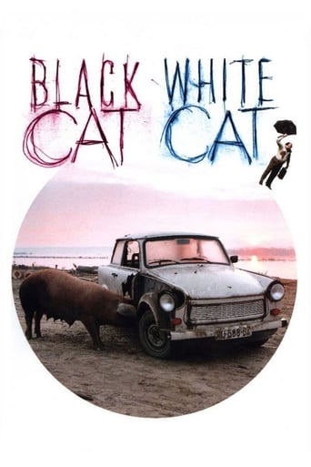Black Cat, White Cat (1998) download