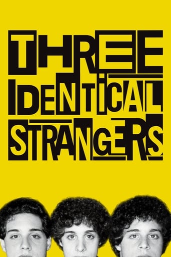 Three Identical Strangers (2018) download