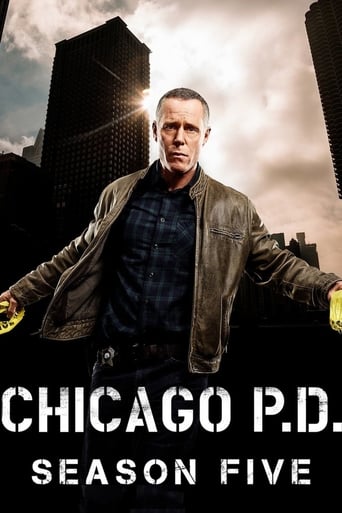 Chicago P.D. 5ª Temporada (2017) HDTV | 720p Dublado e Legendado – Baixar Torrent Download