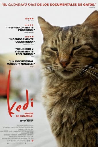 Kedi (2017) download