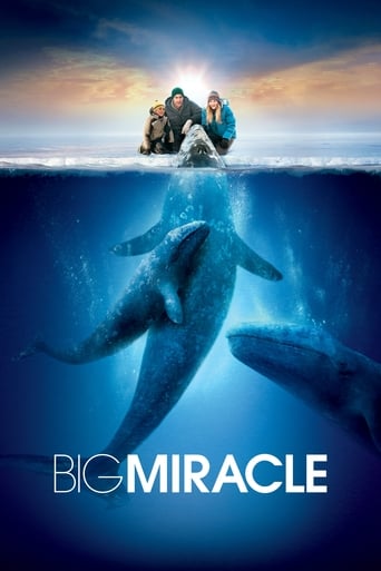 Big Miracle (2012) download
