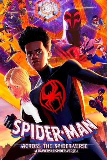 affiche film Spider-Man : Across the Spider-Verse