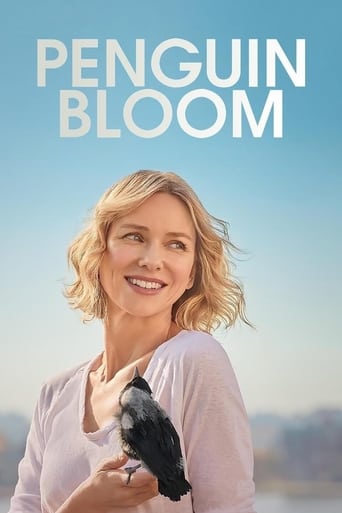 Penguin Bloom (2021) download