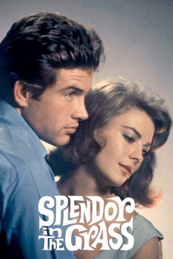 Splendor in the Grass (1961) download