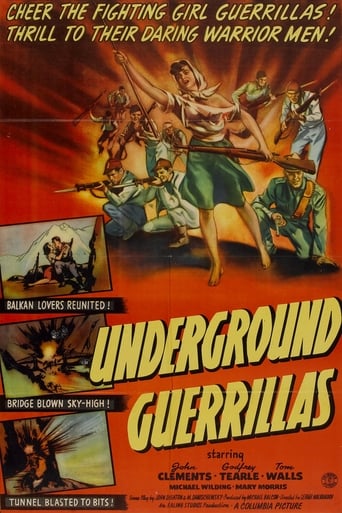 Undercover (1943) download
