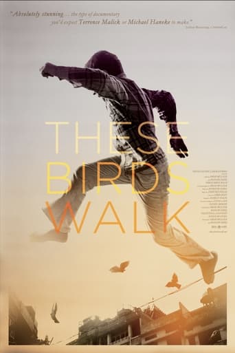 These Birds Walk (2013) download