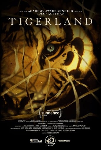 Tigerland : le dernier espoir du tigre