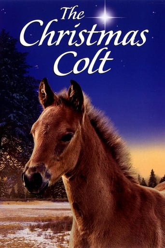 The Christmas Colt (2013) download