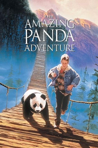 The Amazing Panda Adventure (1995) download