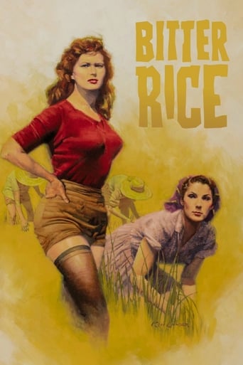 Bitter Rice (1949) download