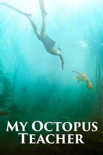 My Octopus Teacher (2020) download