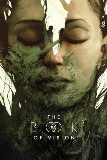 Baixar The Book of Vision isto é Poster Torrent Download Capa