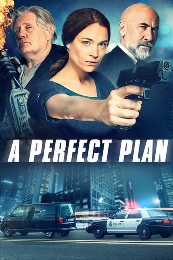 A Perfect Plan (2020) download