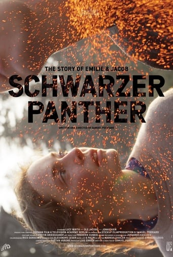 Black Panther (2013) download