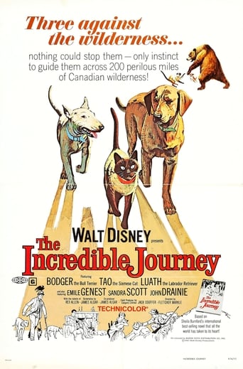 The Incredible Journey (1963) download