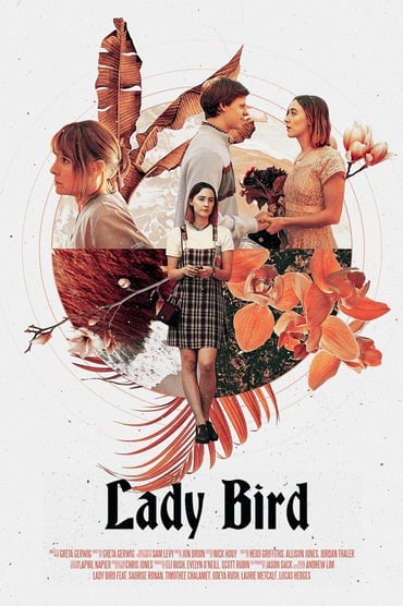Lady Bird Film Streaming