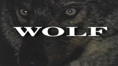 Predators of the Wild: Wolf