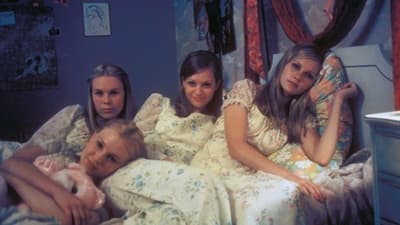 Revisiting The Virgin Suicides