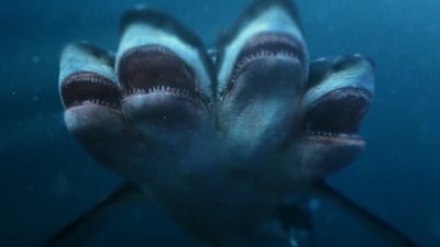 Útok pětihlavého žraloka