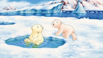 Lední medvídek
