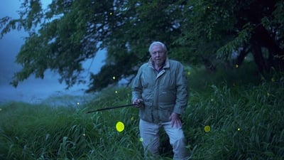 David Attenborough a živé světlo
