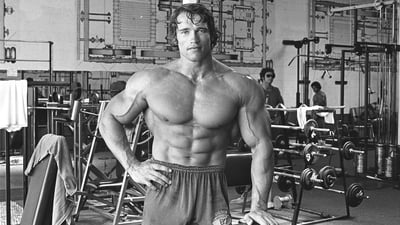 Železný Schwarzenegger